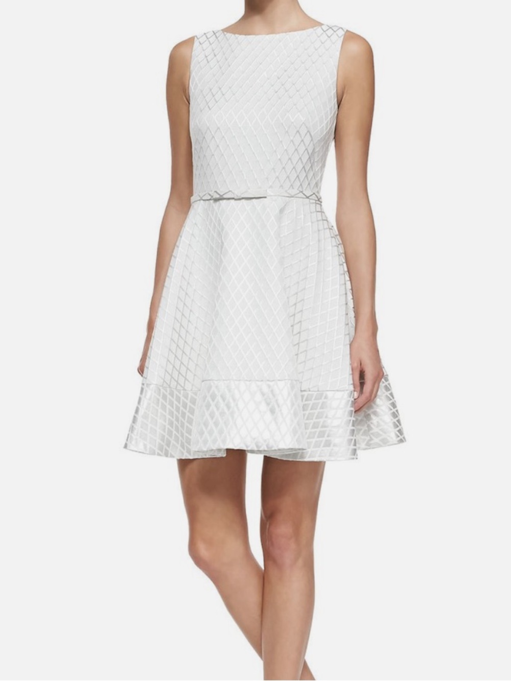 Silver Sleeveless Fit & Flare Dress